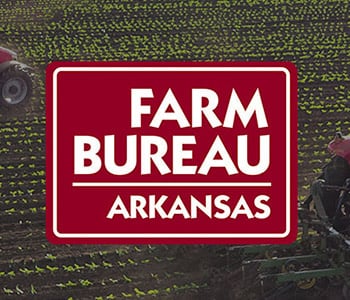 ASU junior awarded Farm Bureau Vines Scholarship