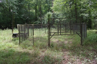 Feral hog trap photo