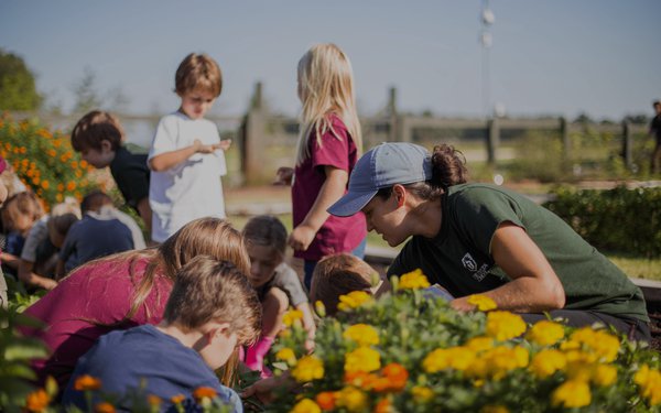 Garden Grants