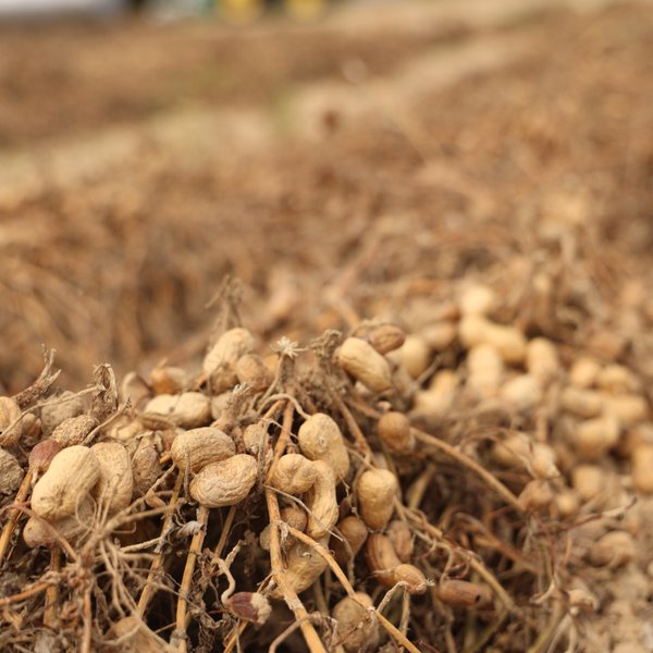 Market Briefs | October 01, 2025
