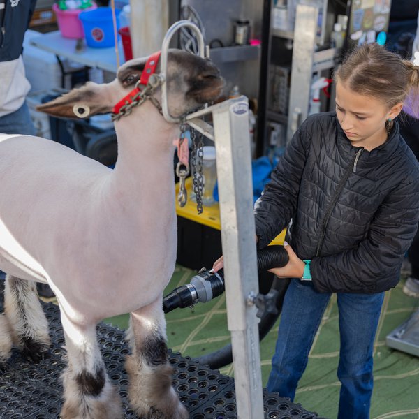 Life in the Ring with Paisley Crangle