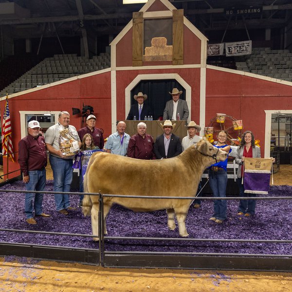 State Fair Sale of Champions Always Competitive