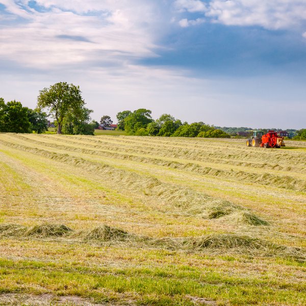 Market Briefs | July 10, 2026