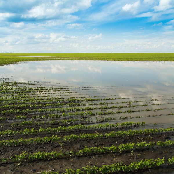 Market Briefs | June 11, 2025