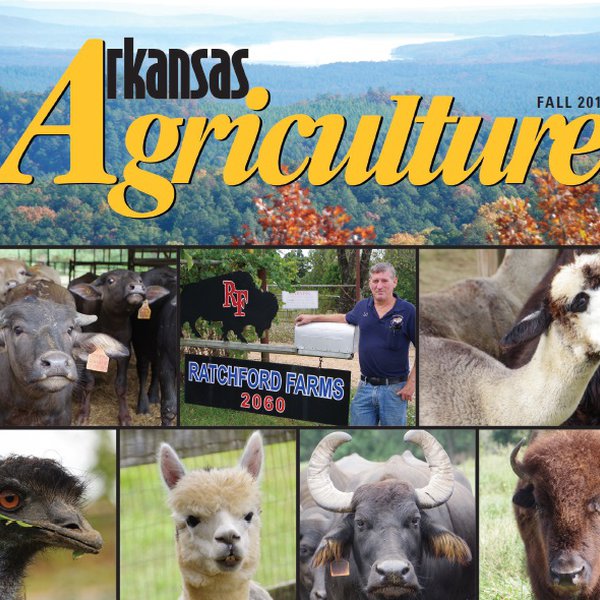 Arkansas Agriculture Magazine for Fall 2017