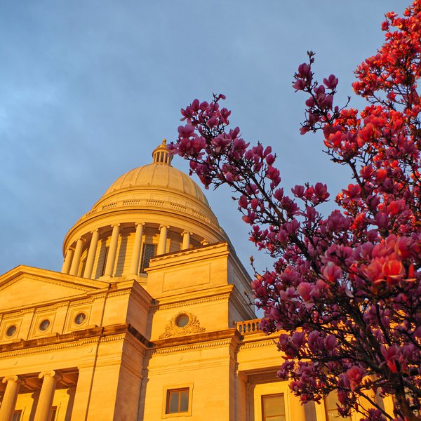 Arkansas Ag Industry to Gov. Asa Hutchinson: Ag Industry is Essential