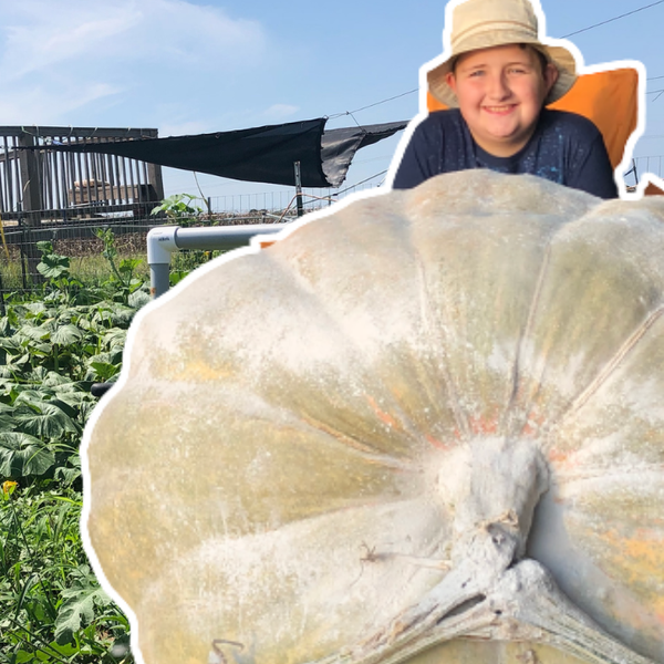 Buster's 491lb Pumpkin | Kid Farmer