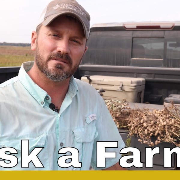 Ask A Farmer | Season 2, Ep. 2 | Peanuts