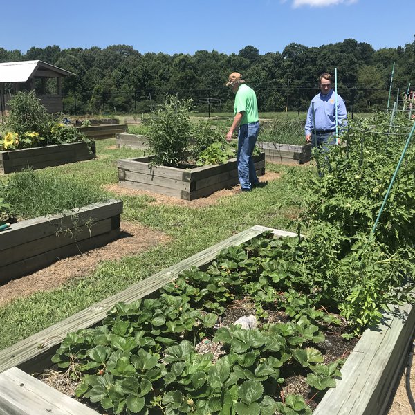 Growing a Strong Ag Program