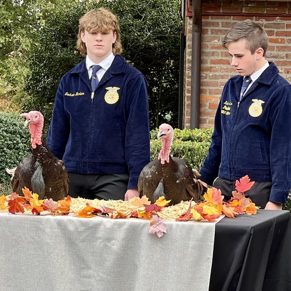 Arkansas Governor Pardons Turkeys