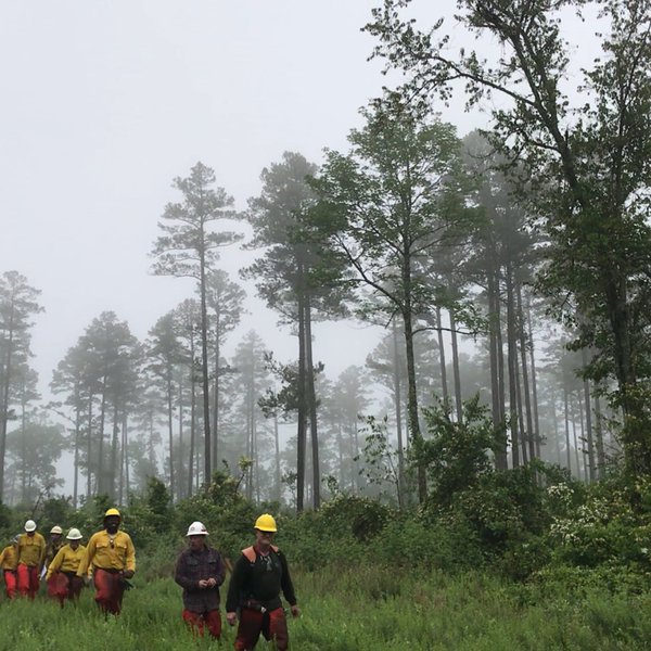 AgCast: Academy Trains Wildlands Firefighters