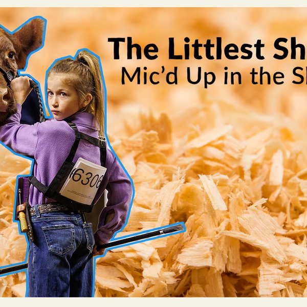 The Littlest Showman | Josie Sanders