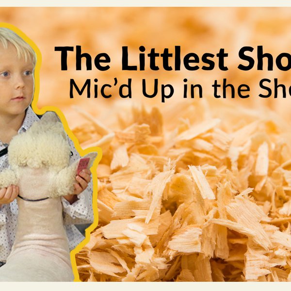 The Littlest Showman | Braden Emitt