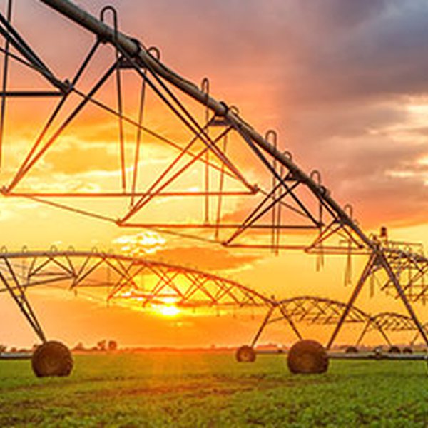 Market Briefs for February 17, 2017