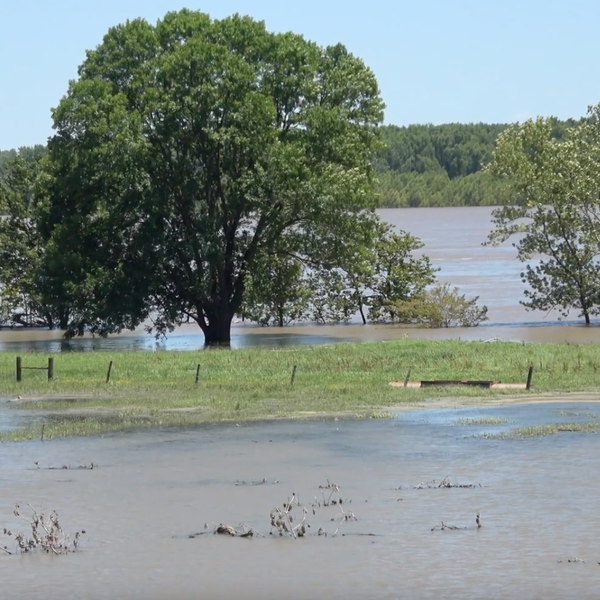 Seep Water Swallows Cropland