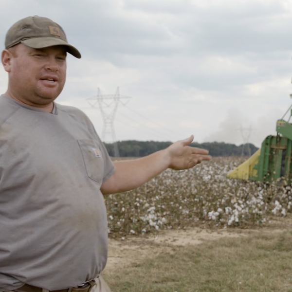 Talking Cotton with Caleb Jones