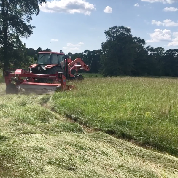 An Update from Fowler-Bearden Farms in Hot Spring County