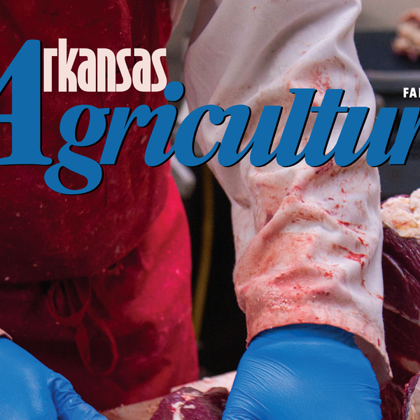 Arkansas Agriculture | Fall 2020