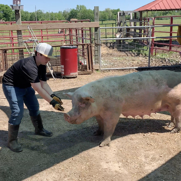 Farmer Profile | Wes Fairchild, Patterson