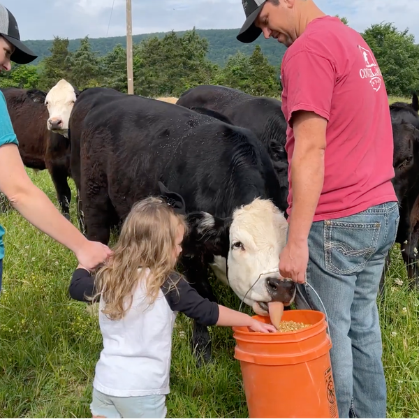 Farm-to-School in Newton County