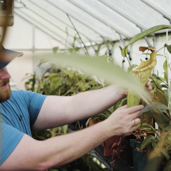 Farmer Profile | Red Barn Carnivores