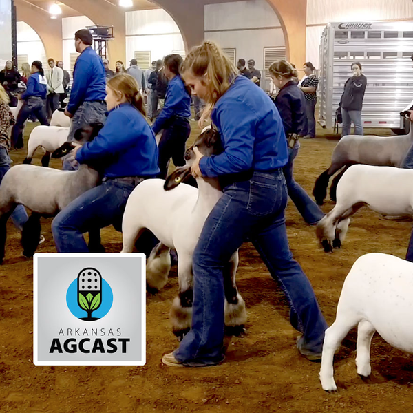 Arkansas AgCast | Oct. 7, 2021