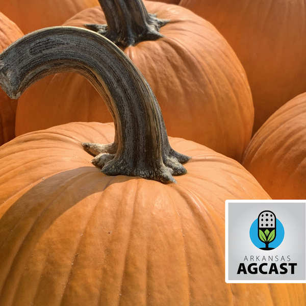 Arkansas AgCast | Spooky Halloween Special