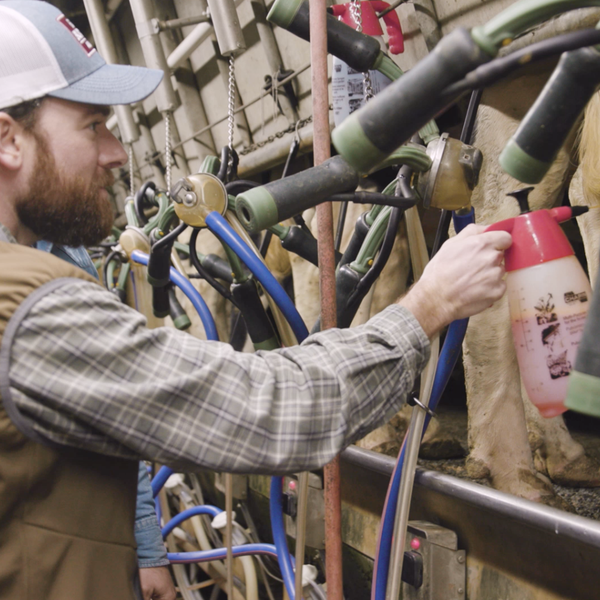 Filthy Farm Jobs | Ep. 2, Philip Learns to Milk Cows