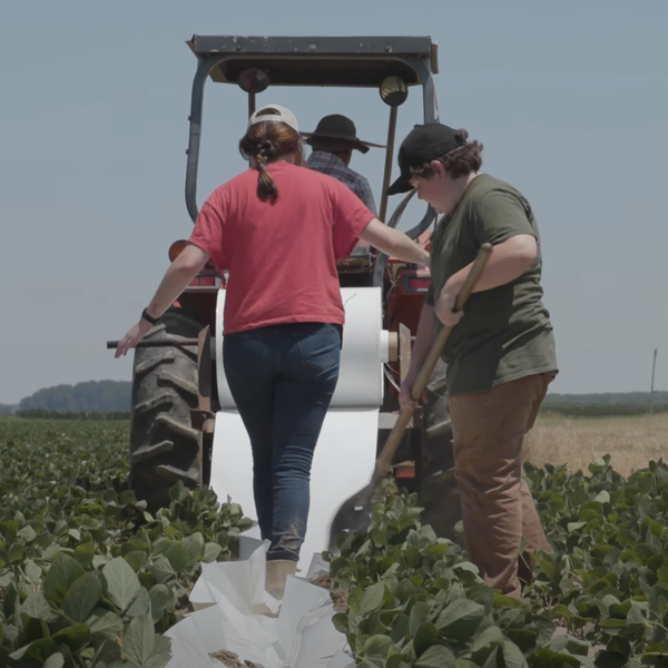 Kid Farmer | Jackson's Irrigation Install