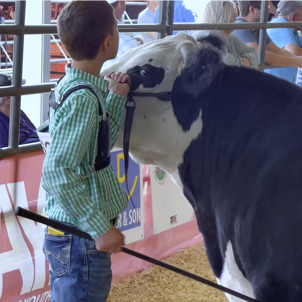 Arkansas Youth Expo | Dan Wright