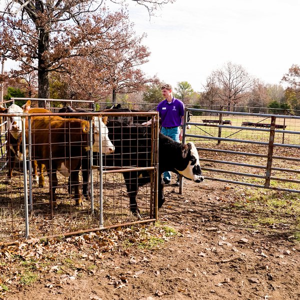 UCA Dietetics Internship Farm Tour