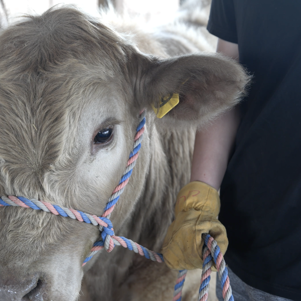 Benton County Pasture to Plate