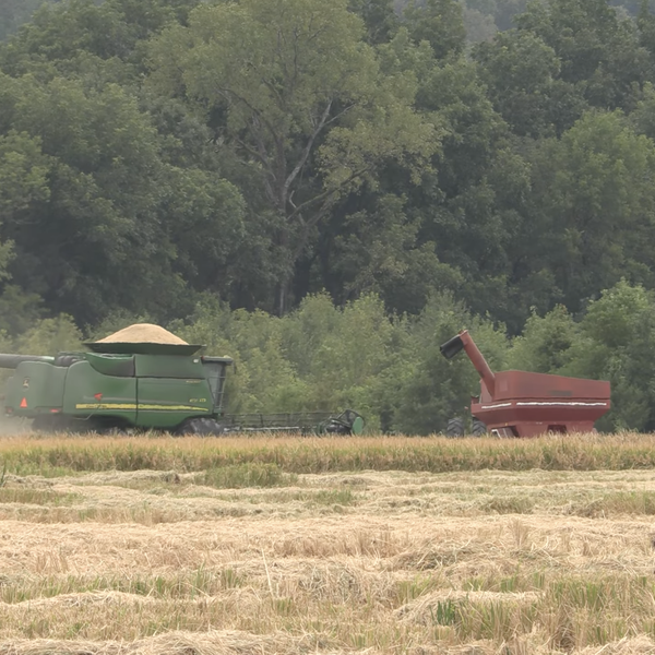 Logan Simon | Rice Harvest 2023