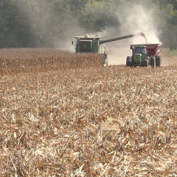 Field Sharing in Faulkner County