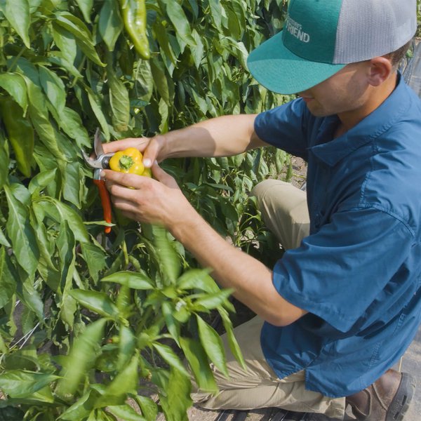 Prairie Woods Farm: Year-Round Produce