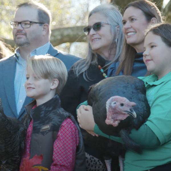 Two Turkeys Earn a Governors Pardon