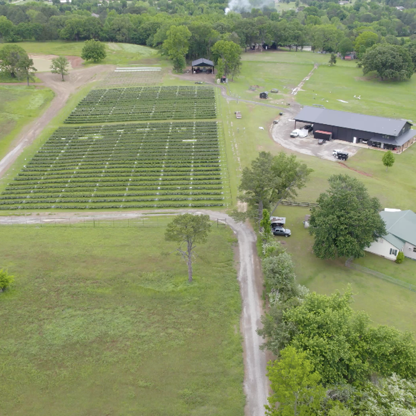 Linam Family Farms