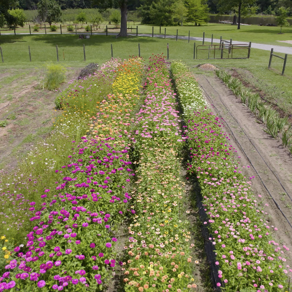 Richland Creek Farm and Market