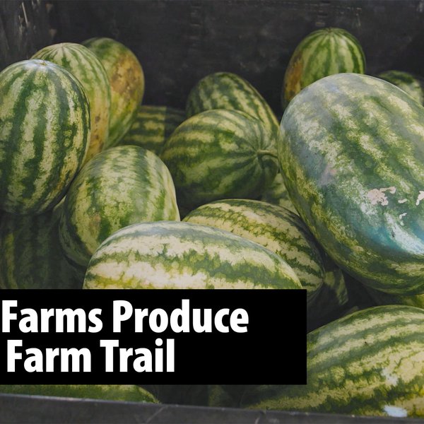 Crabtree Farms Produce | Arkansas Farm Trail