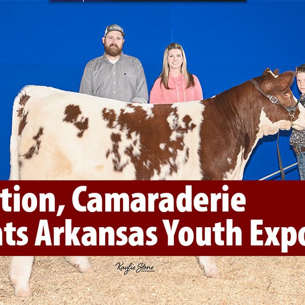 Competition, Camaraderie Highlights Arkansas Youth Expo