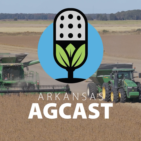 WASDE Market Waves, AFBF Policy Decisions and Much More