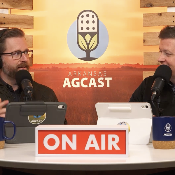 USDA Cattle Inventory, Super Bowl Snacks on the Farm and Much More