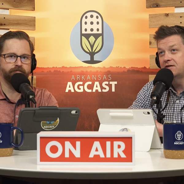 Ag Impacts of the Middle East Conflict, Bridge Assistance Program Details and Much More