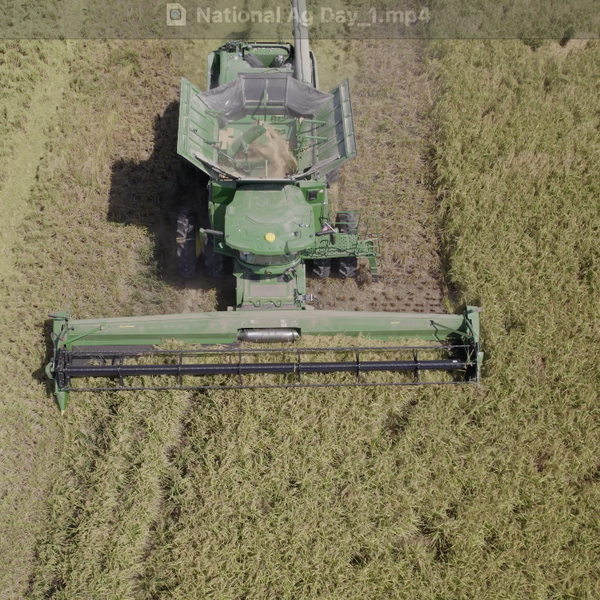 Celebrating National Ag Day