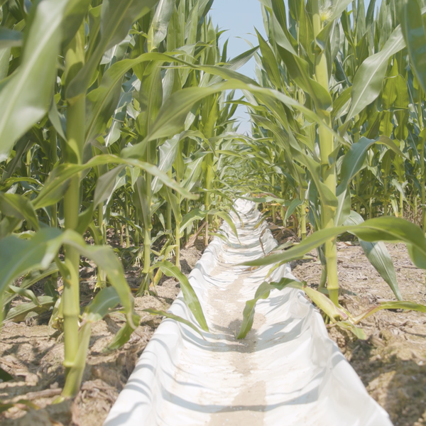 Weather Stations Coming to Help Farmers