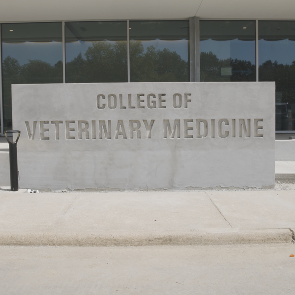 Arkansas State University Veterinary School