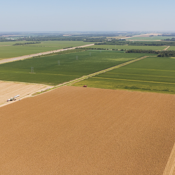 Market Briefs | August 21, 2026
