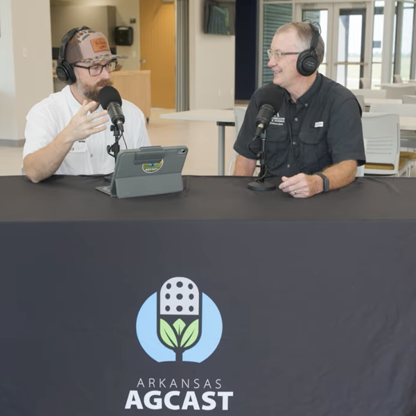 Weather Conditions Affecting Harvest, Farm Bill News and Dr. Tim Burcham