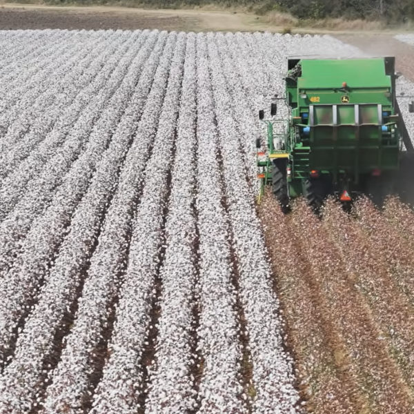 2026 Harvest Update with Joe Mencer