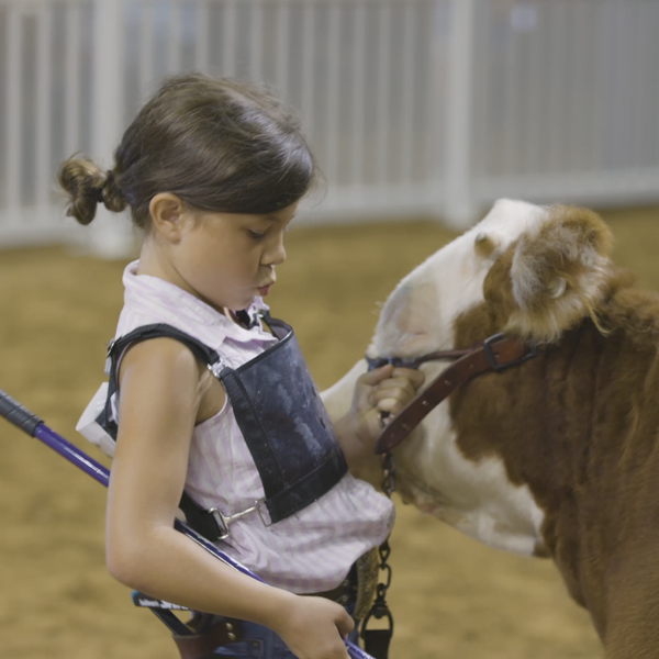 Agriculture at the State Fair